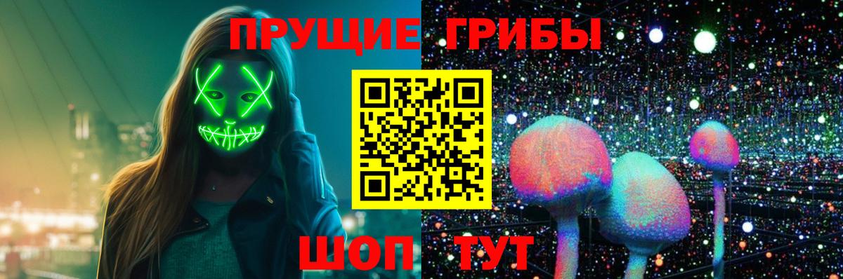 Галлюциногенные грибы Cubensis  Галлюциногенные грибы MAGIC MUSHROOMS  Артём  Вход с VPN 